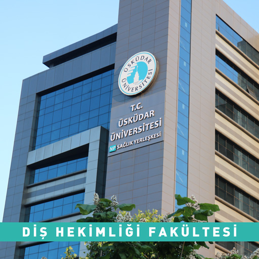 Diş